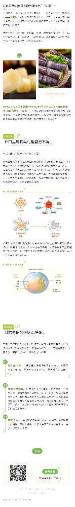 新食品原料|甘蔗多酚为健康生活“加酚”！