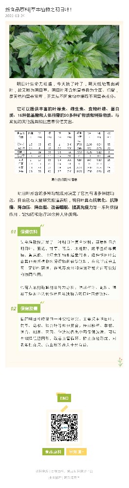 新食品原料|草本植物之明日叶！