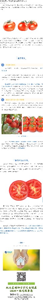 新食品原料|番茄籽油的营养价值科普！