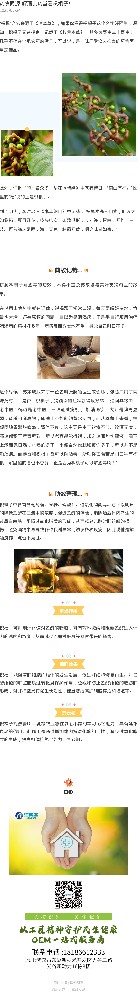 药食同源|解酒良药当看枳椇子！