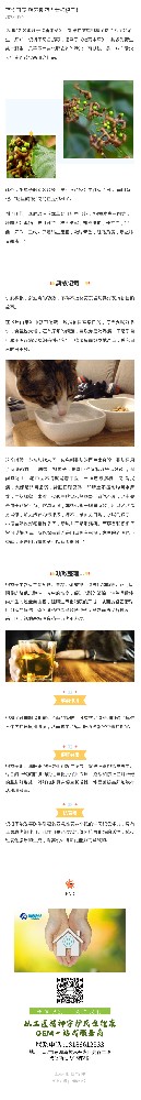 药食同源|解酒良药当看枳椇子!