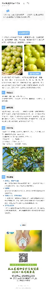 药食同源|天然维生素丸——余甘子！