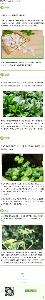 尿酸最怕的草本原料竟有这些！