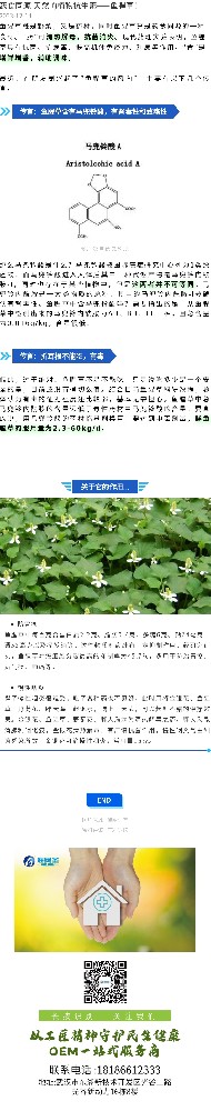 药食同源|天然的植物抗生素——鱼腥草！