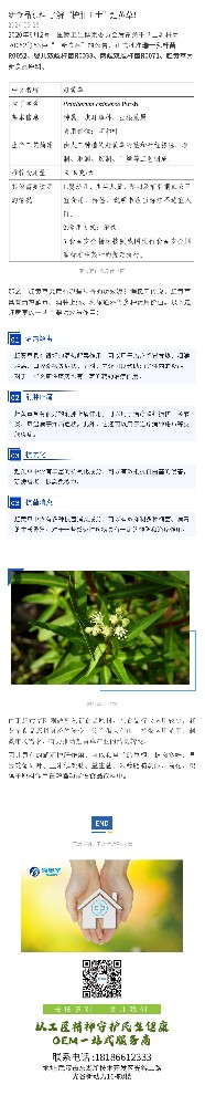 新食品原料|了解“护肝卫士”赶黄草！