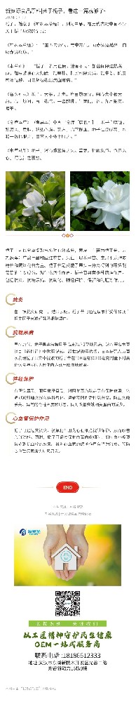 新食品原料|关于栀子，看这一篇就够了~