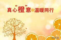 保健品会销要“真心真意做真品”